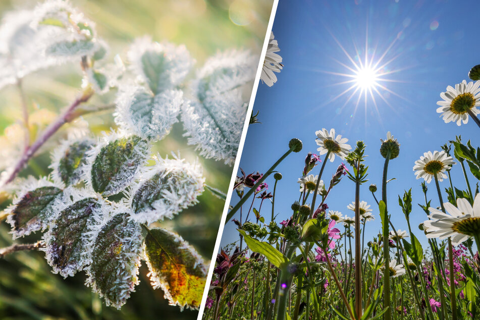 Von Frost bis knapp 35 Grad war im Juli alles dabei in Sachsen. (Symbolbild)