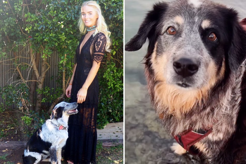 Ohana lebt seit neun Jahren bei Australierin Brinkley Davies.