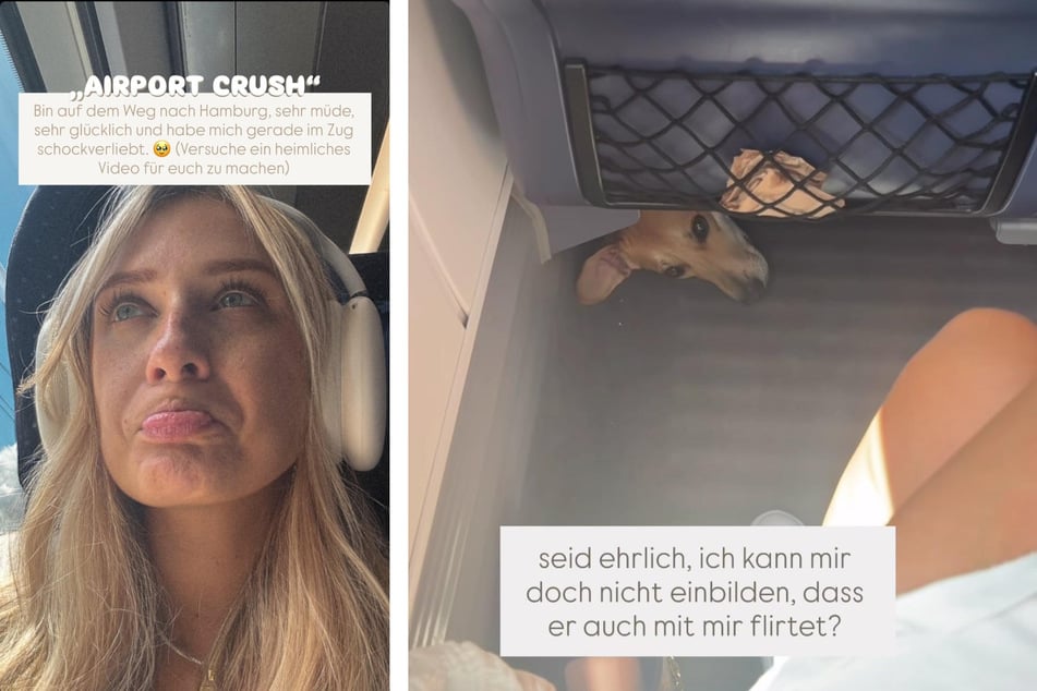Der kleine Vierbeiner begleitete Jenny Koepper (27) auf ihrer Reise nach Hamburg und eroberte dabei ihr Herz im Sturm.