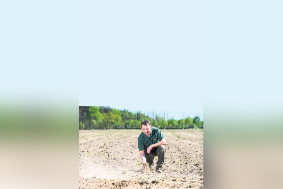 Landwirt Matthias Domanja (42) auf einem trockenen Feld. Sein familiengeführter Biohof in Hoske bei Wittichenau baut Gemüse und Getreide an. Zudem zieht er Tiere auf und verkauft hausschlachtenes Fleisch und Wurstwaren aus der eigenen Hoffleischerei.