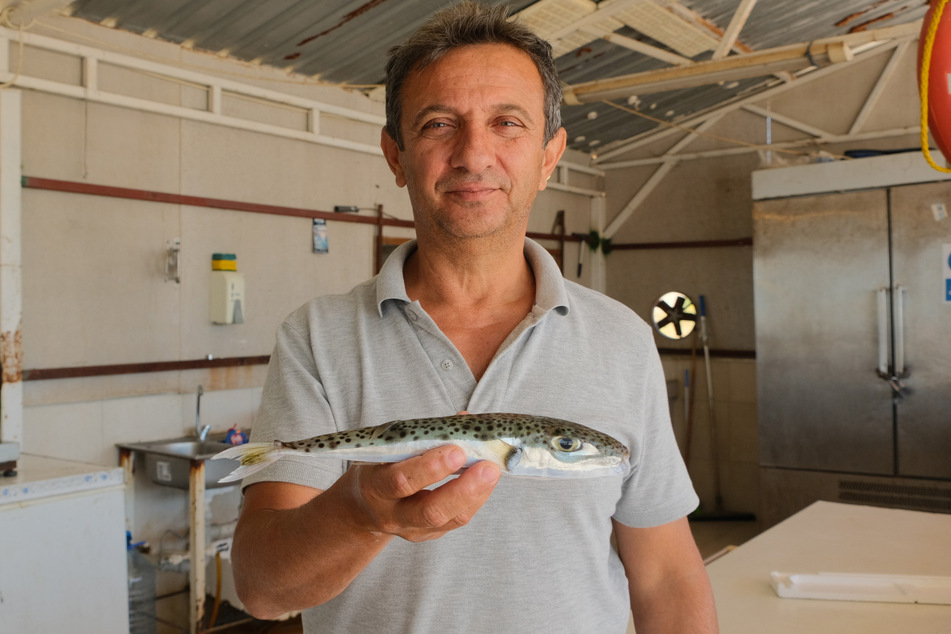 Cengiz Balta, Leiter der Fischerei-Kooperative in Antalya.