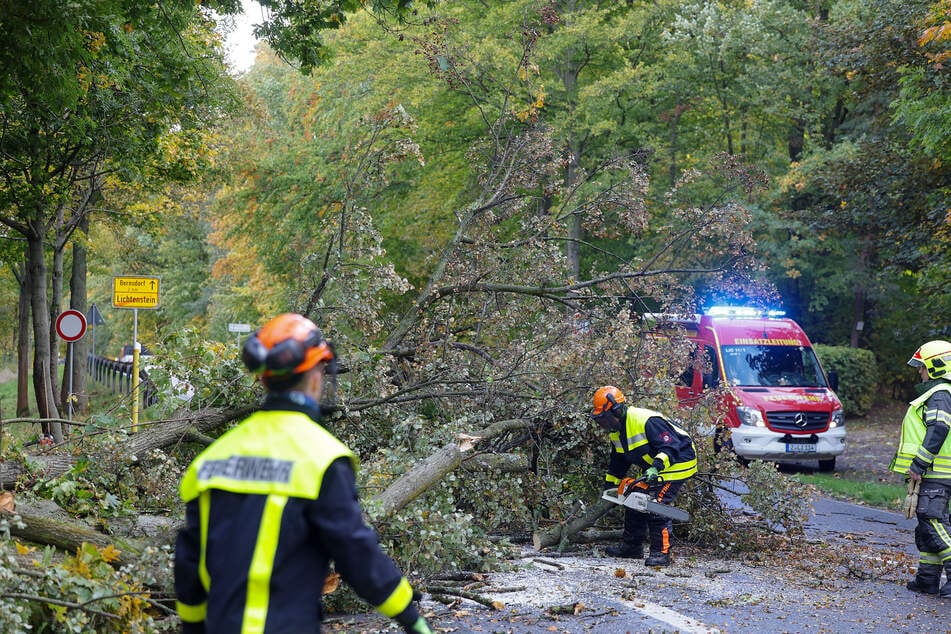 In Lichtenstein legte der Sturm eine Linde auf die Chemnitzer Straße.