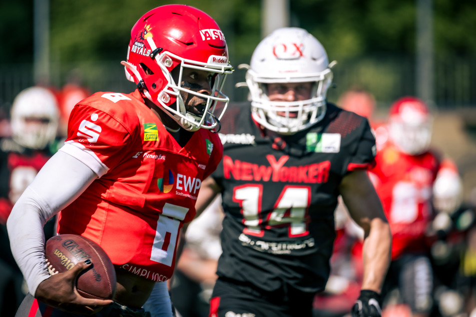 Potsdam Royals vs. Ingolstadt Dukes im Karl-Liebknecht-Stadion.