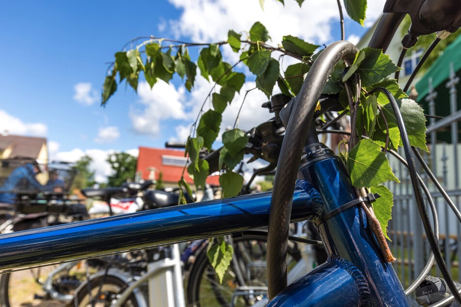Wer etwas getrunken hat, sollte sein Fahrrad lieber stehen lassen, um sich selbst und andere zu schützen. (Symbolbild)