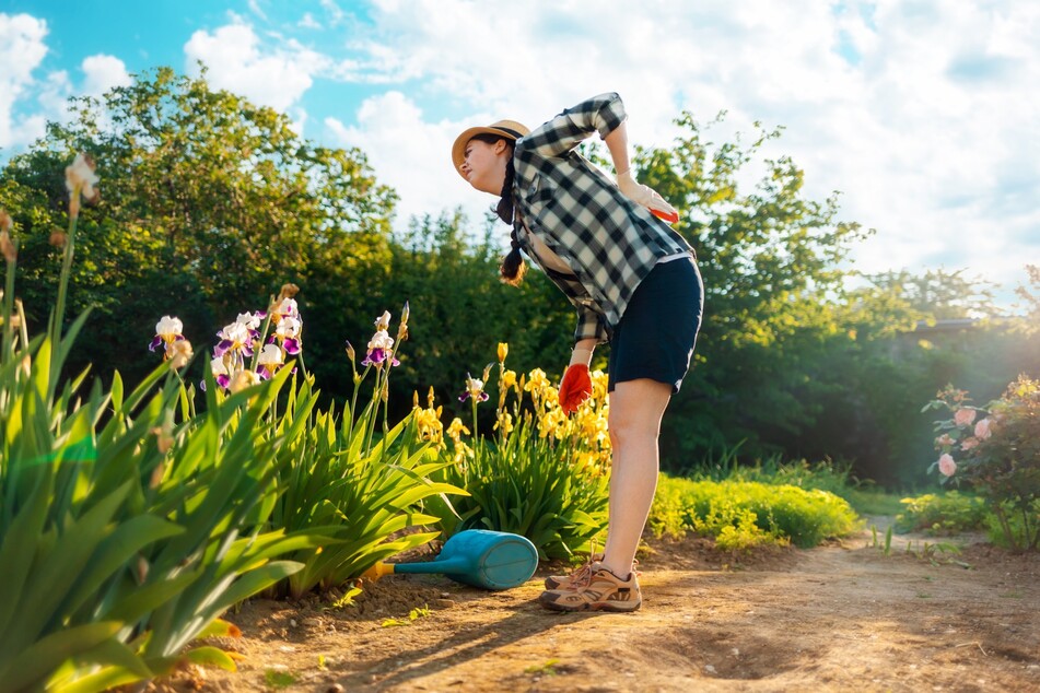 Ist Gartenarbeit ohne Rückenschmerzen eigentlich möglich? Mit einigen Hilfsmitteln und Tipps schon.