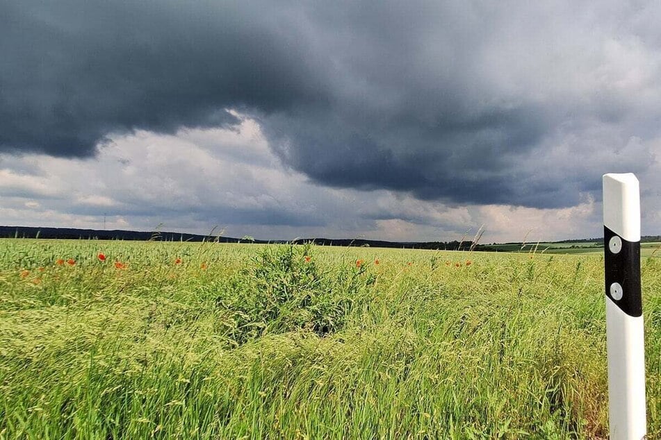 Von Westen aufziehende Gewitter mit Starkregen, Hagel und Sturmböen am Nachmittag bis zum Abend wurden vorhergesagt.