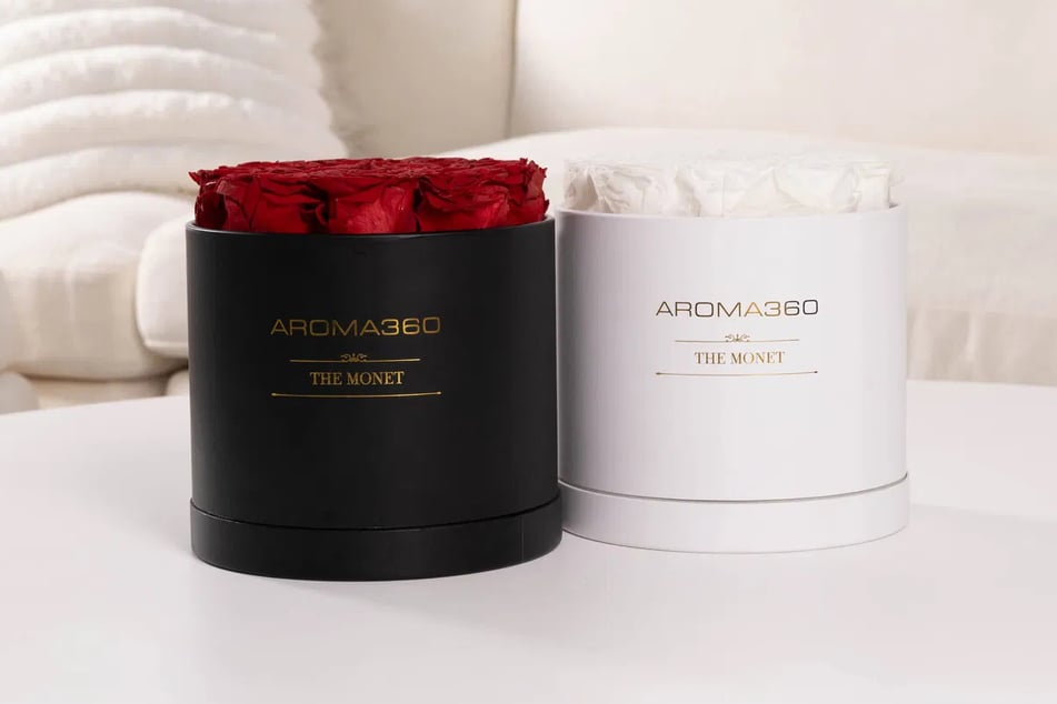 The World's First Flower Diffuser Just Dropped and It's Redefining Home Fragrance