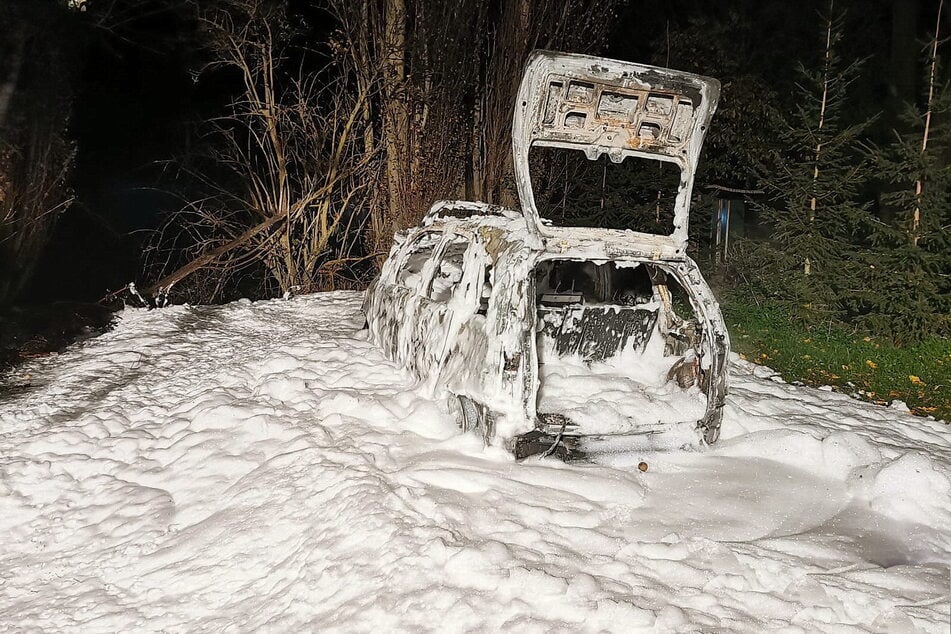 Die Feuerwehr konnte die Flammen löschen, das Auto jedoch nicht.