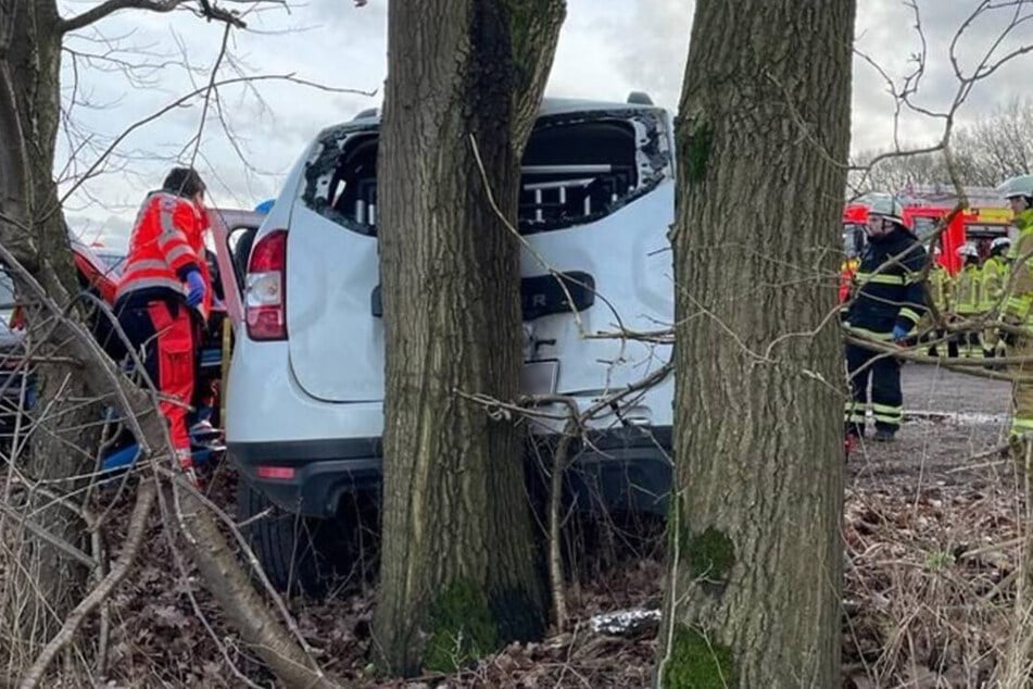 Der 59-jährige Dacia-Fahrer krachte rückwärts gegen einen Baum.