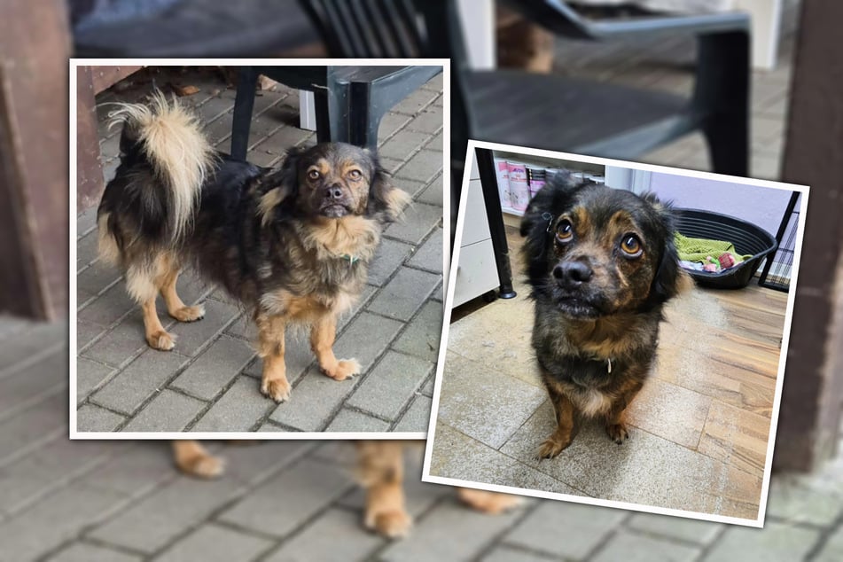 Der kleine Bobby kann nicht verstehen, warum auf einmal alles so anders ist.