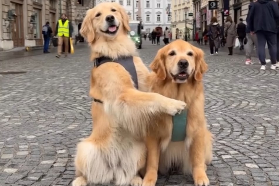 Gewusst wie: Mit diesem Posing sind Emma (l.) und Ellie ein wahrer Blickfang.