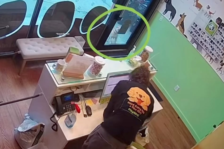Pete stand plötzlich vor der Tür seiner Hunde-Tagesstätte.