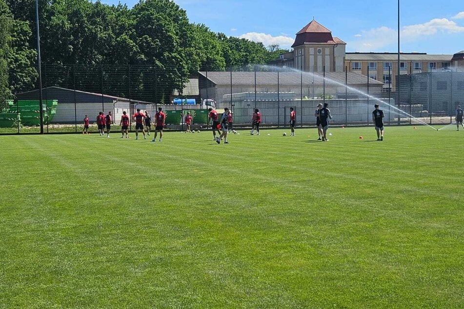 Die Ballgewöhnung mit einfachen Passformen folgte.