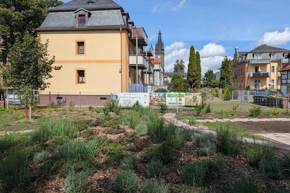 Wo bislang eine ungenutzte Freifläche lag, ist in den vergangenen Monaten ein naturnaher Ort für Begegnung, Erholung und gemeinschaftliche Aktivitäten entstanden.