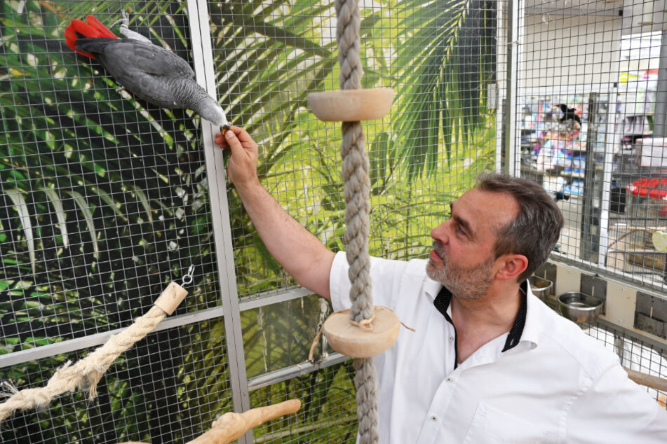 Felix ist der Mitarbeiter mit dem meisten Besuch im Gartenfachmarkt.