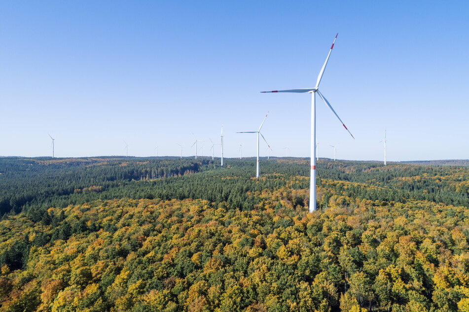 2020 standen über acht Prozent aller Windräder in Wäldern. Für die Natur ist das kein optimaler Zustand, aber der dichten Besiedlung in Deutschland geschuldet.