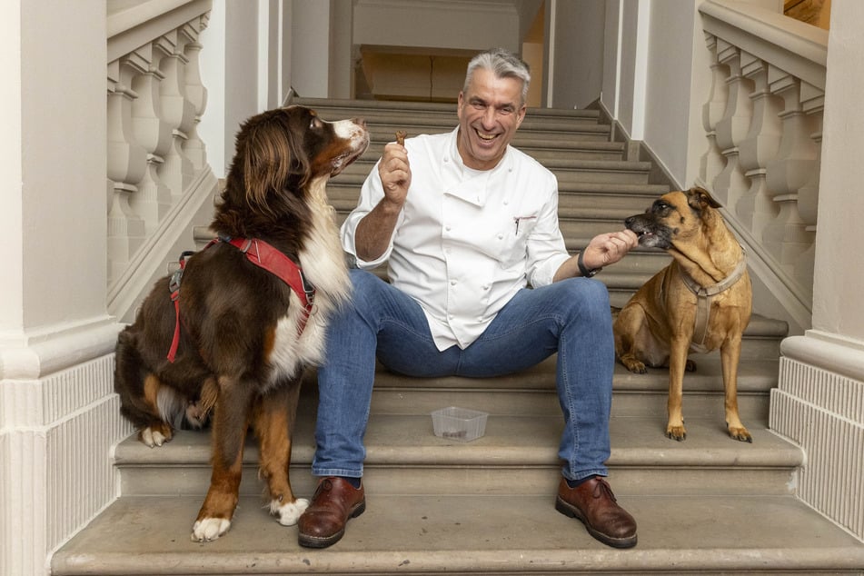 Kastenmeier hat die Kekse bei seinen Hunden Balu (3) und Aska (4) erfolgreich getestet.