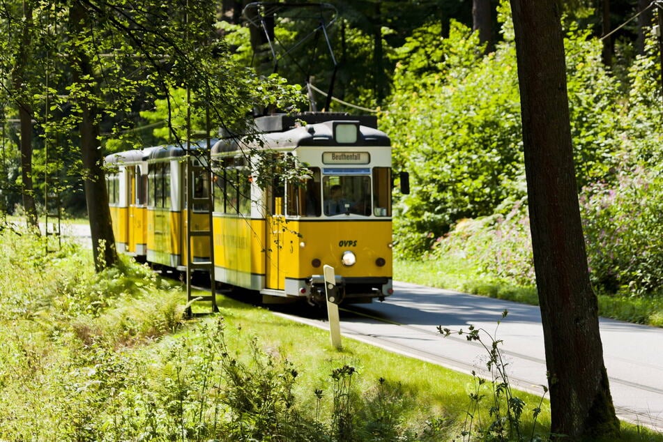 Egal ob Dampf- und Dieselzüge oder Miniaturanlagen und Gartenbahnen - für Lok-Liebhaber sind die Bahnerlebnistage genau das Richtige. (Symbolfoto)