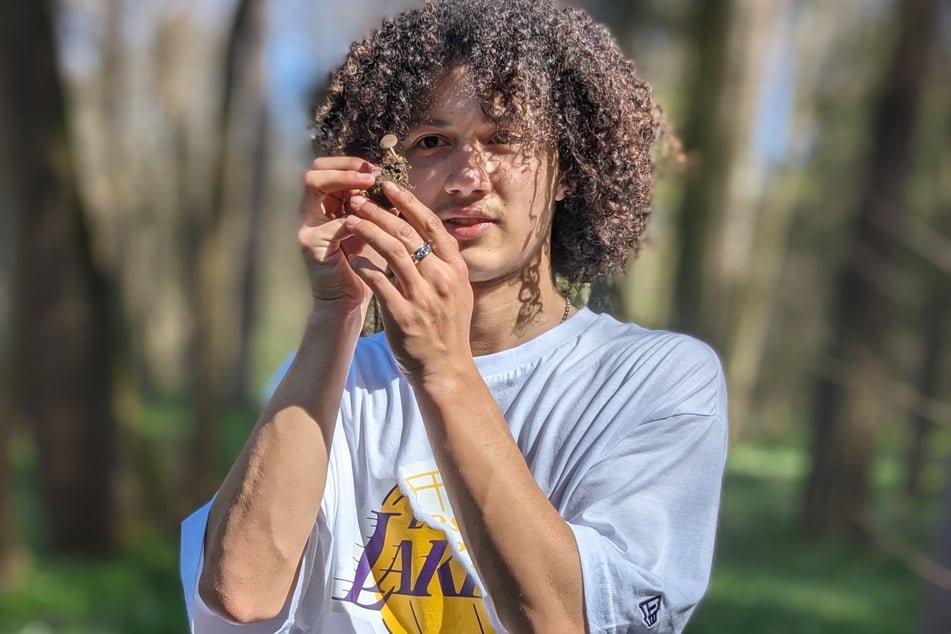 Experte und Influencer Tristan Jurisch (20) hat einen Pilz gefunden.