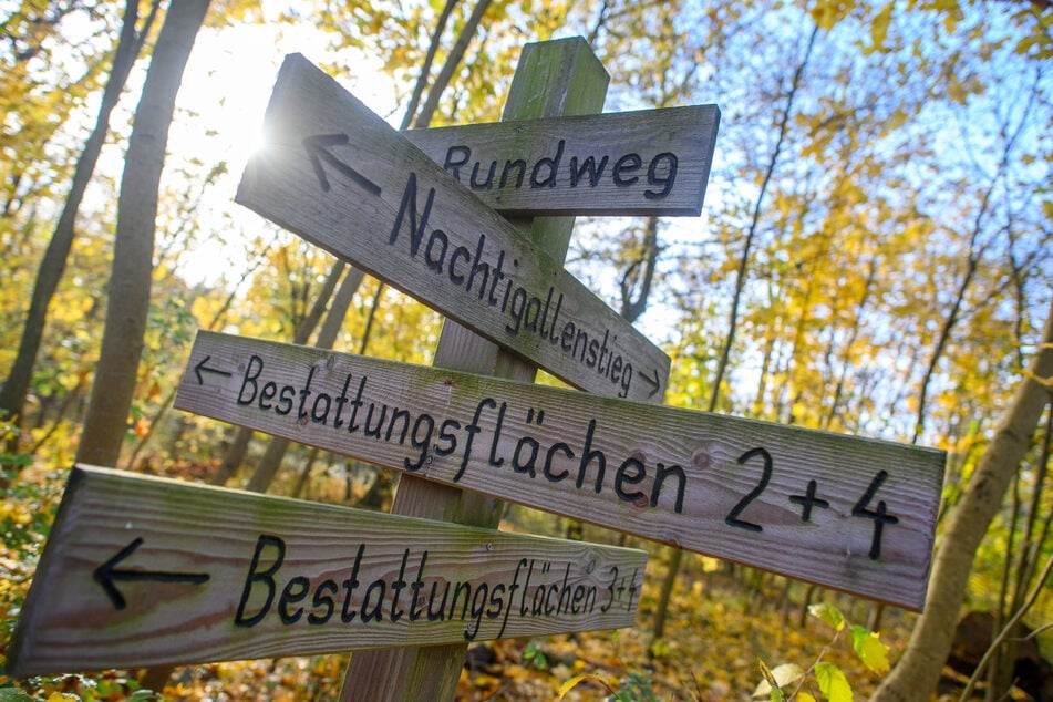 Der Mann (67) parkte auf dem Zufahrtsweg zum Friedwald. (Symbolfoto)