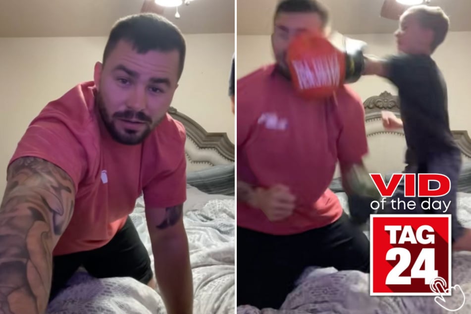 Today's Viral Video of the Day features a little boy who socked his dad right in the face during boxing training, and the internet is in stitches!