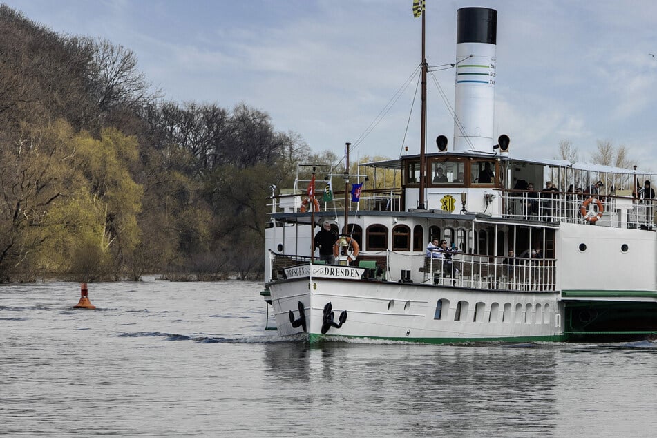 Dresden: Zurück zur alten Routine: Weiße Flotte nimmt wieder Fahrt auf