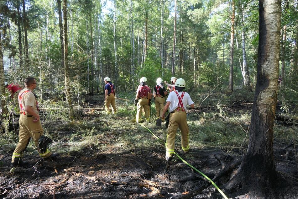 Dutzende Feuerwehrleute waren im Einsatz.