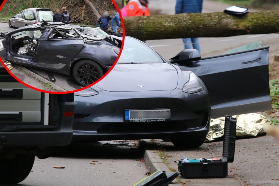 Unglück nahe Stuttgart: Baum erschlägt Tesla-Fahrer (†55)