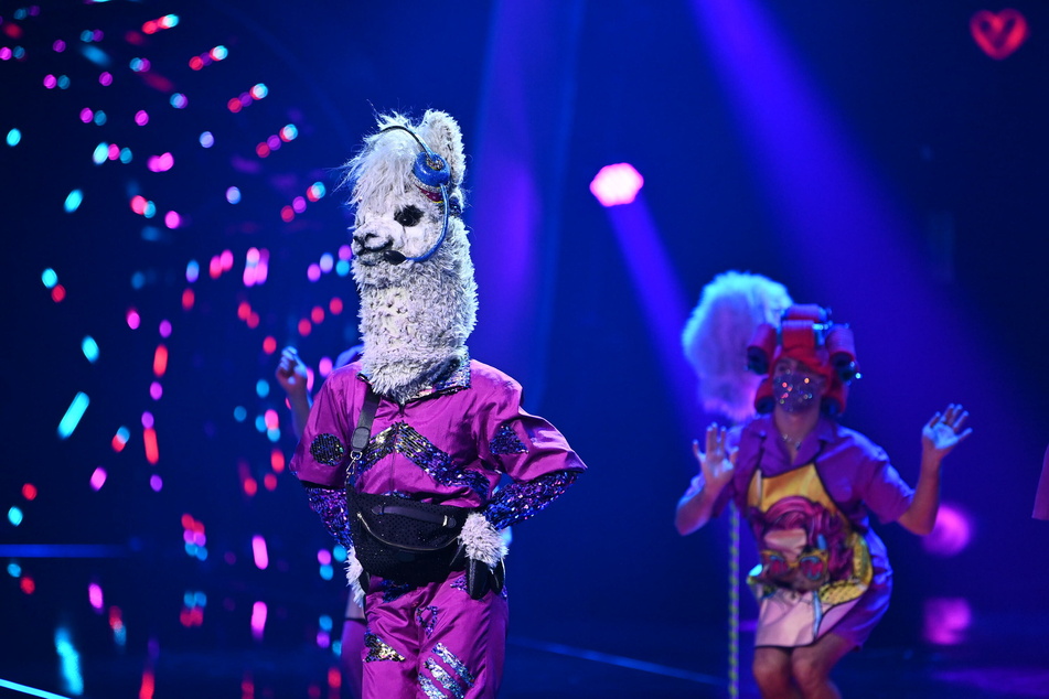 Meis hatte als Alpaka "Like a Virgin" performt.