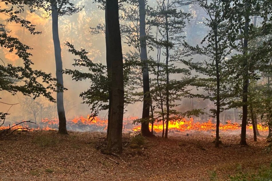 Der Waldbrand wurde bereits zu einem Bodenfeuer abgeschwächt, allerdings ist ein weiterer kleiner Brandherd entstanden.