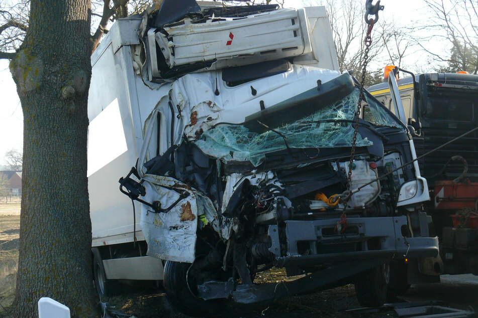 Lkw kracht gegen Straßenbaum: 49-jähriger Fahrer schwer verletzt
