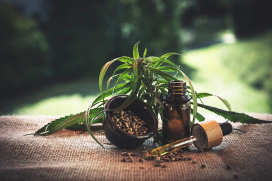 Häufig mit der Droge Marihuana verwechselt, stammt CBD zwar von derselben Pflanze ab, unterscheidet sich jedoch maßgeblich in der Herstellung sowie dem Endprodukt