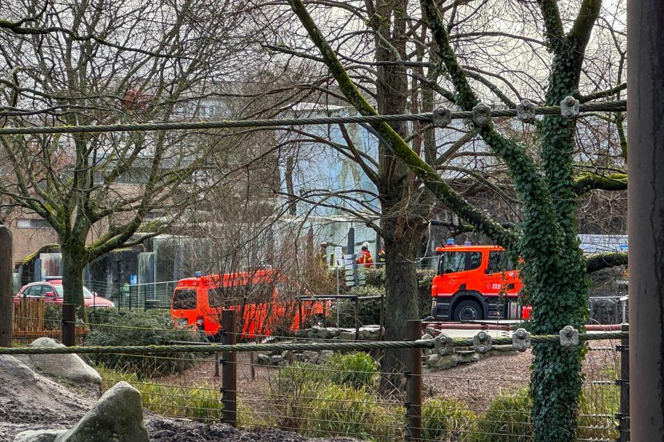 Die Feuerwehr rückte mit mehreren Einsatzwagen an.