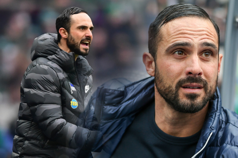 Alexander Nouri (40) wird im Sommer nicht mehr Trainer von Hertha BSC sein.