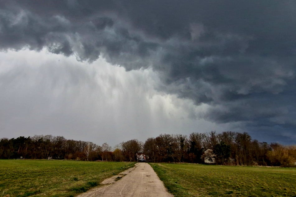 In Sachsen-Anhalt ziehen Freitag Gewitter über das Land.