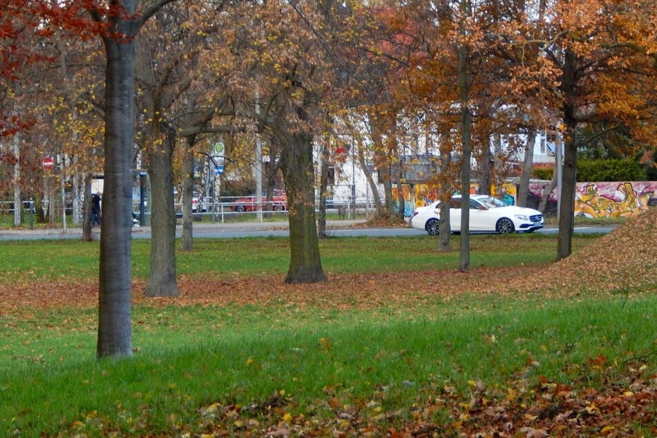 Der 16-Jährige verfolgte den Täter zusammen mit zwei Helfern bis in den Park. (Archivbild)