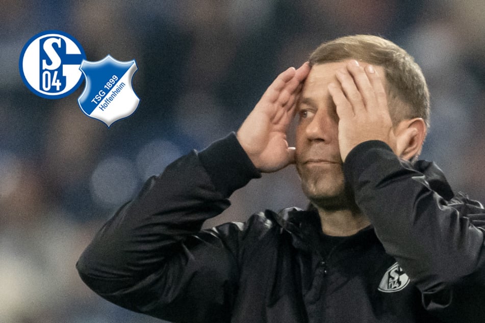 Kramer droht Schalke-Aus: Aufsteiger verliert gegen abgezocktes Hoffenheim