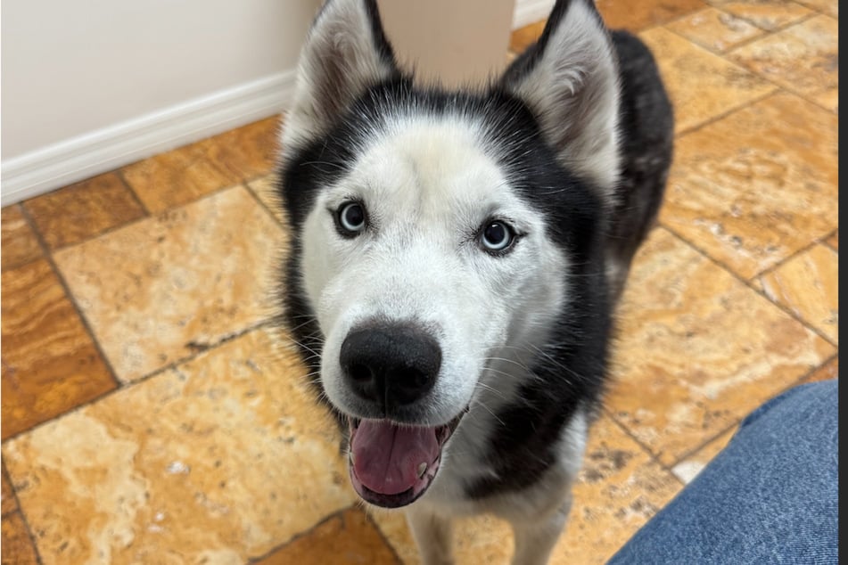 Luca ya está en camino de recuperación.