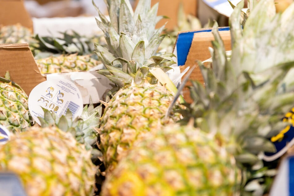 Im neuen Kaufland in Bielefeld begeistern frisches Obst und Gemüse die Kunden.