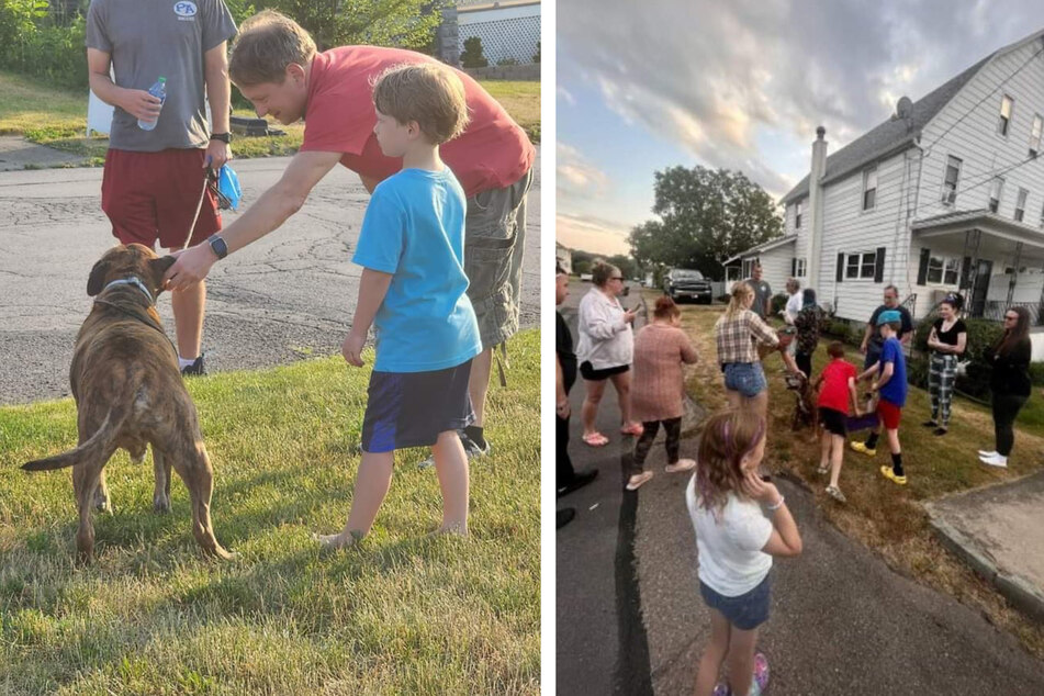 Neighbors gave Mellow pets and treats on his last stroll around the neighborhood.