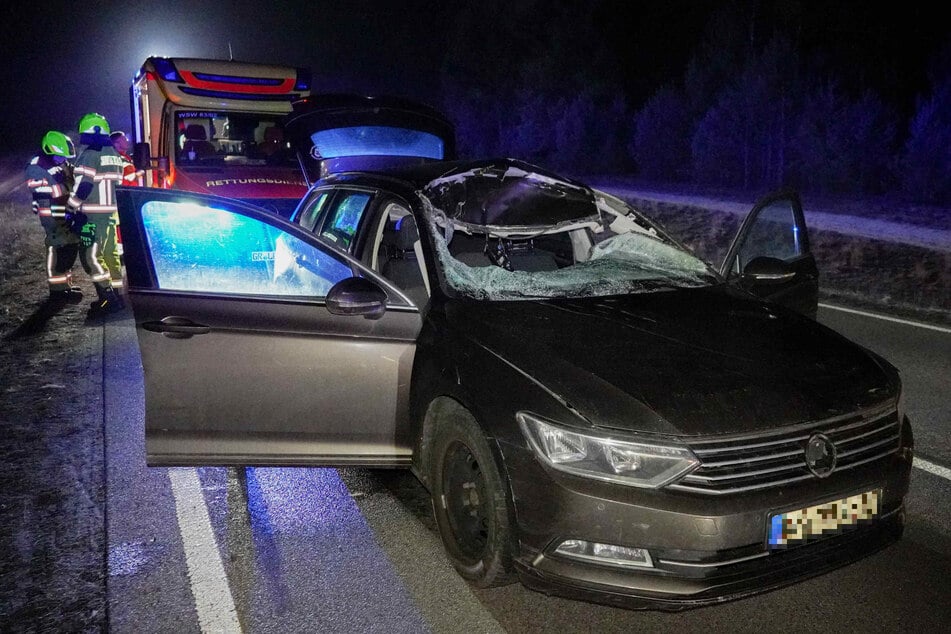 Ein Wildunfall zwischen Boxberg und Weißwasser hinterließ am betroffenen VW deutliche Spuren.