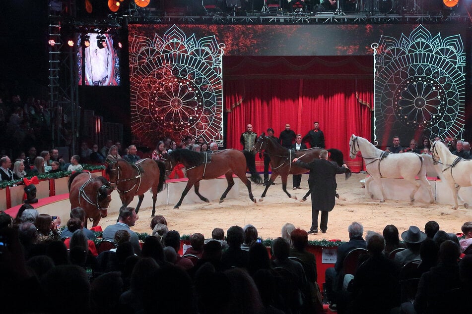 Dresden: Zugabe im Dresdner Weihnachts-Circus: An diesem Tag gibt es eine zusätzliche Show