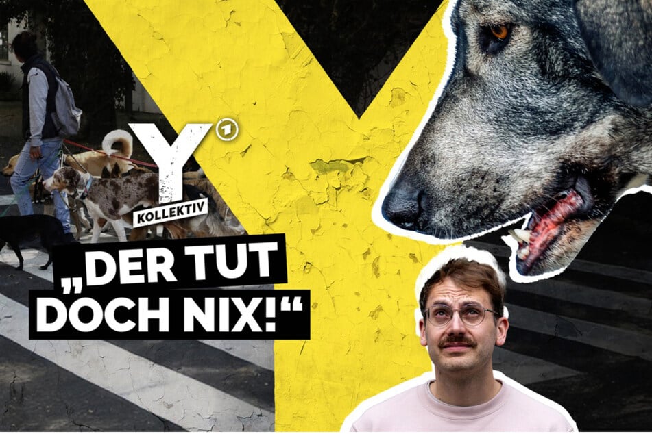 Nico Schmolke stellt sich in der Reportage seiner Hundeangst.