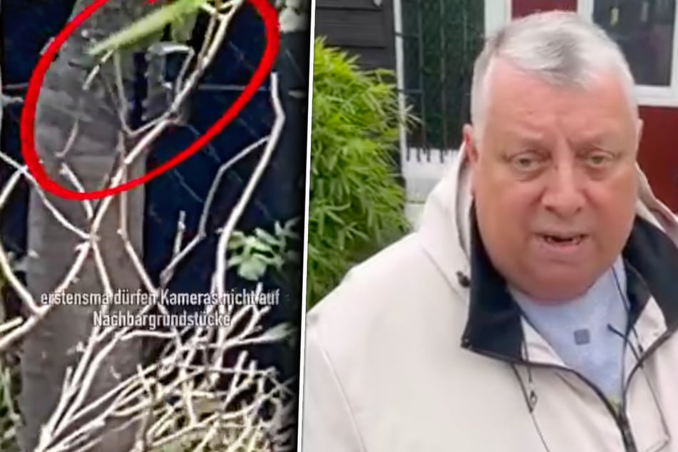 Michael Baumann (63) muss einen Streit zweier Gärtner schlichten.
