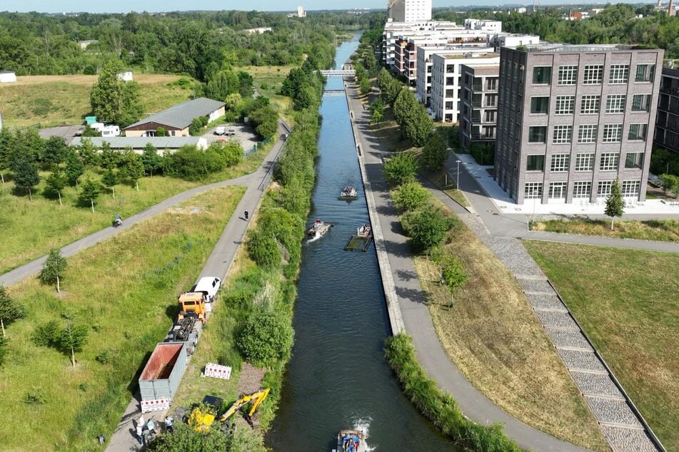 Aktuell laufen die Arbeiten noch am Lindenauer Hafen. In den kommenden Tagen soll der gesamte Karl-Heine-Kanal vom invasiven verschiedenblättrigen Tausendblatt bereinigt werden.
