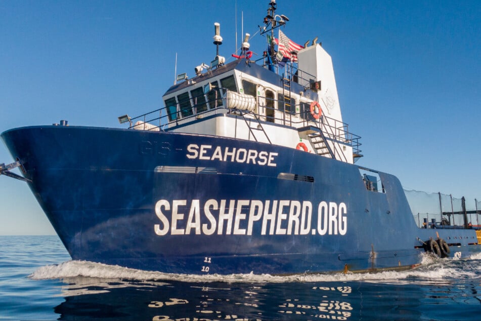 Seit Pritam Singh der Chef der US-amerikanischen Sea Shepherd Conservation Society ist, hat sich die Organisation gespalten. Sogar einige Spender haben sich abgewandt.