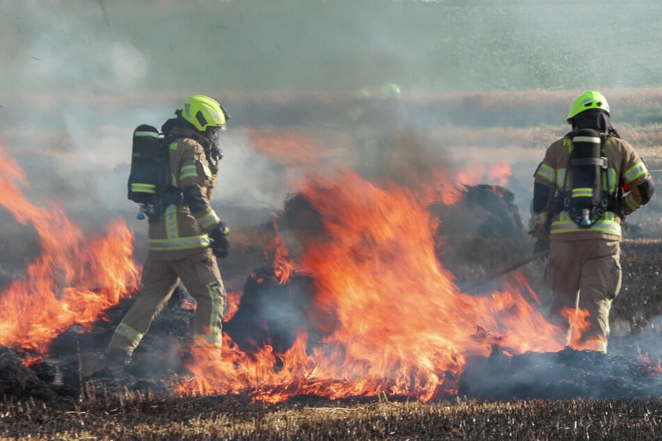 Großeinsatz in Pulheim: 20.000 Quadratmeter Feld stehen in Flammen, dutzende Kräfte vor Ort