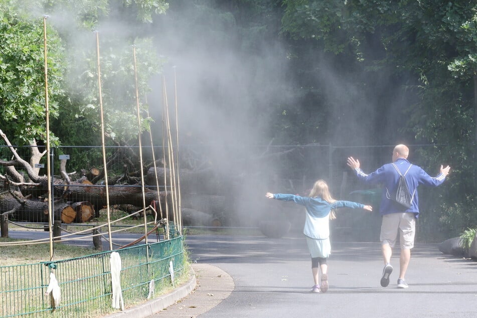 Auch für die Zoo-Besucher gibt es eine willkommene Abkühlung.