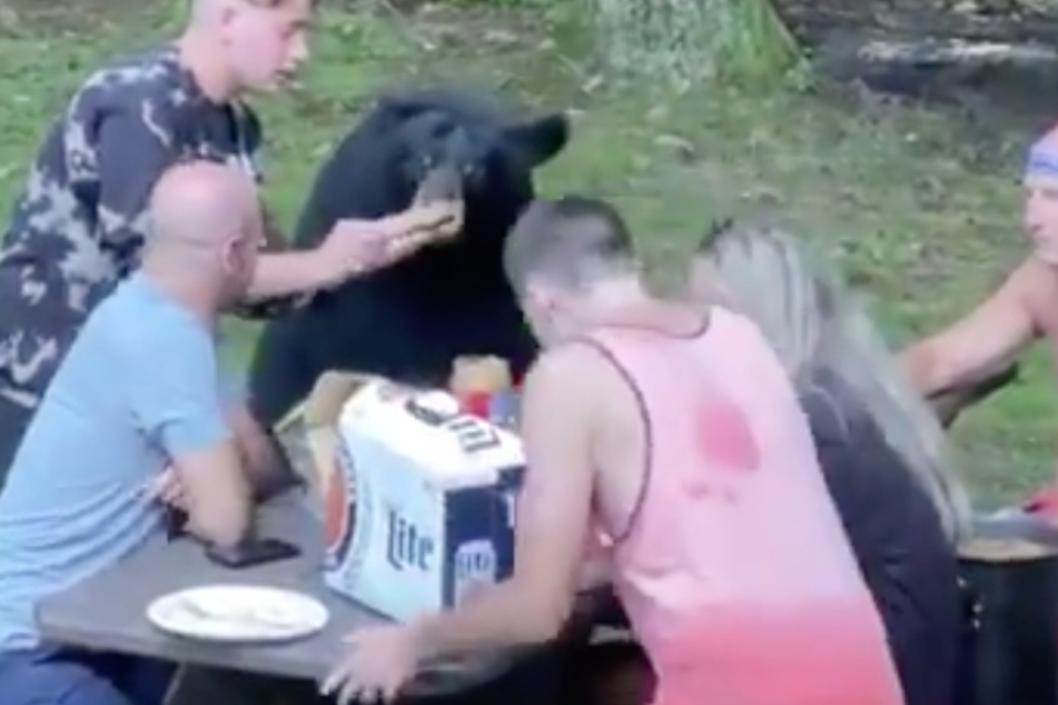 Danach gibt's dann zur Belohnung ein leckeres Sandwich für das Wildtier.