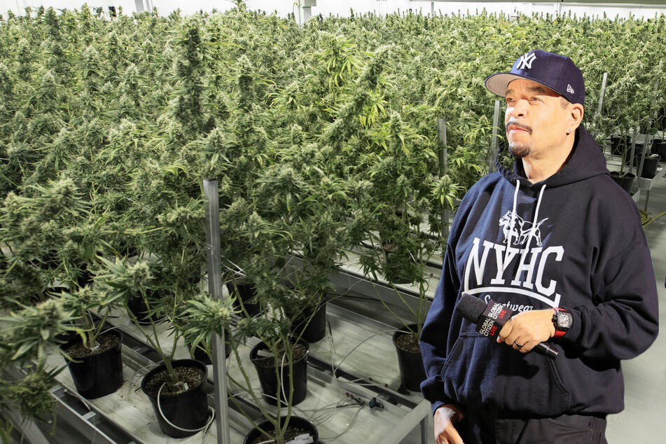 Rapper Ice-T will soon be opening a new recreational cannabis dispensary in Jersey City after his recent approval from the local Cannabis Control Board.